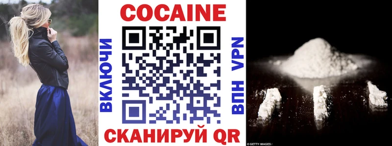 магазин    Кызыл  COCAIN Fish Scale 