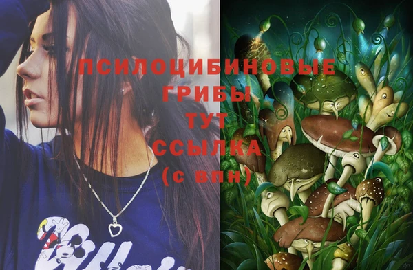 a pvp Бронницы