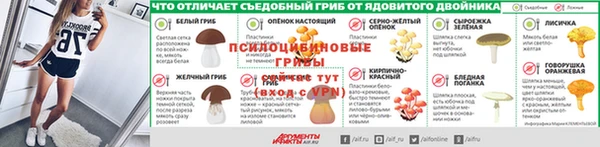 прущие грибы Богородск