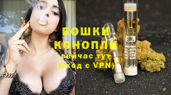 прущие грибы Богородск