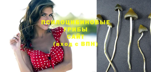спиды Бугульма