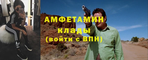 прущие грибы Богородск