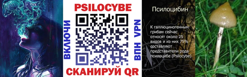 Псилоцибиновые грибы мицелий  Кызыл 